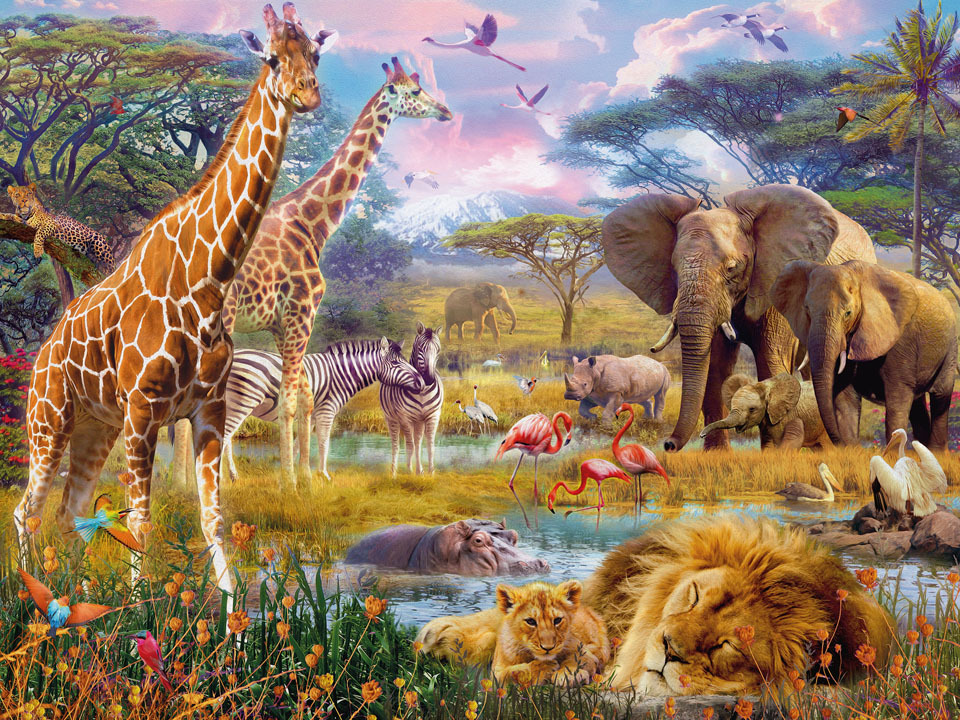 Ravensburger Colourful Africa 1500pc Puzzle|Ravensburger Games & Jigsaw ...