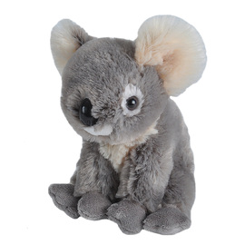 CK-Mini Koala