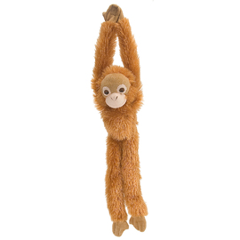 Hanging Orangutan