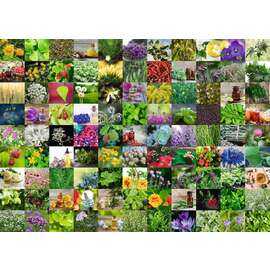 Ravensburger - 99 Herbs and Spices Jigsaw Puzzle 1000pc