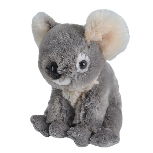 CK-Mini Koala